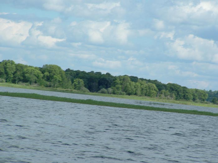 DSCF0073