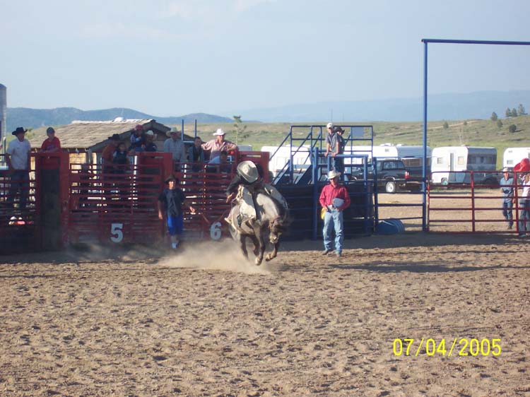 Picture 384