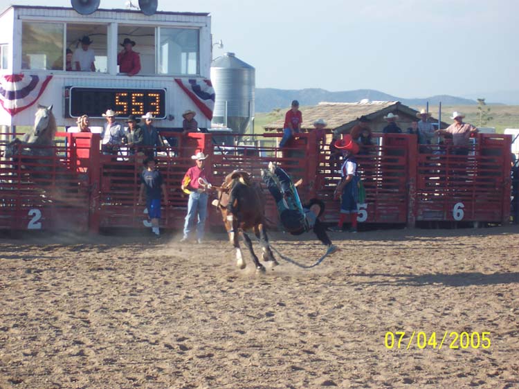 Picture 385