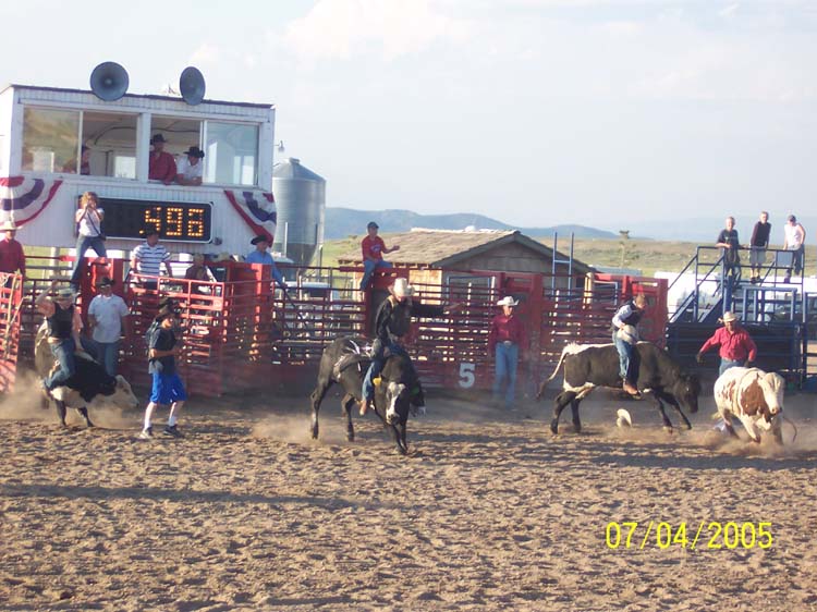 Picture 388