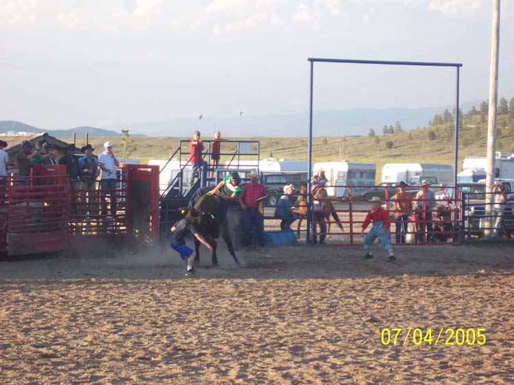 Picture 389