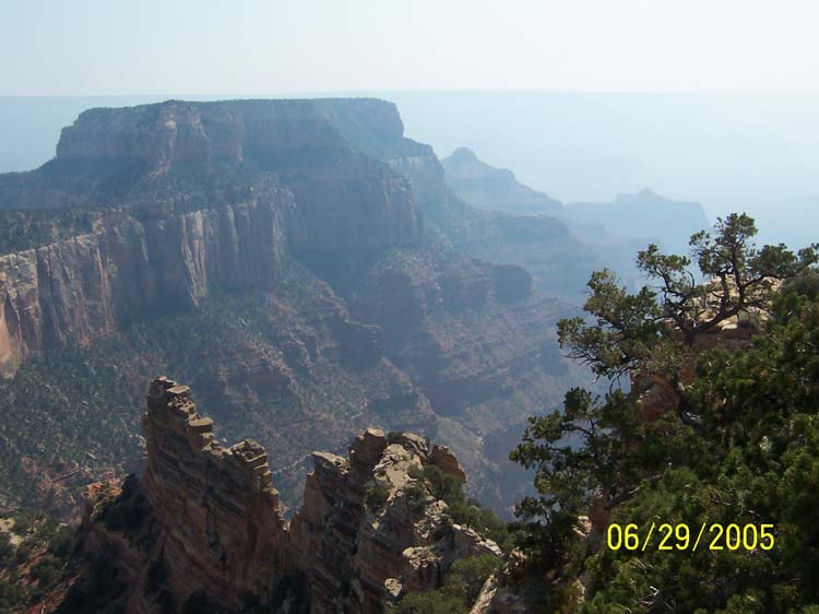 Picture 196