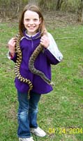 snake_amy