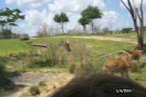 P0001415